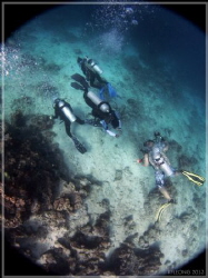 Underwater traffic by Kf Leong 